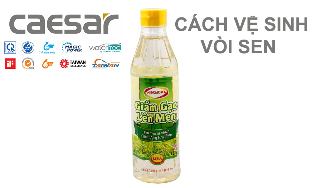 Cách vệ sinh vòi sen tắm Caesar hiệu quả tại nhà 2018