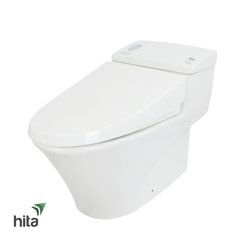 Bồn cầu 1 khối INAX AC-1008VRN
