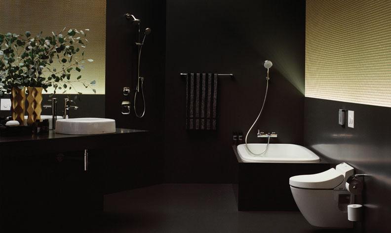 bộ xả bồn cầu toto 1