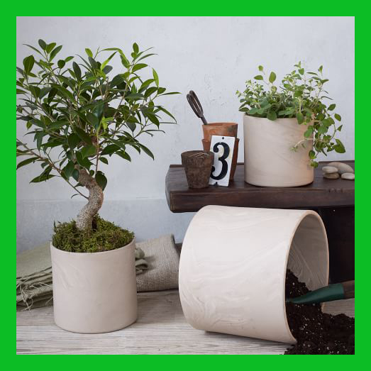 Chậu sứ nhỏ tphcm