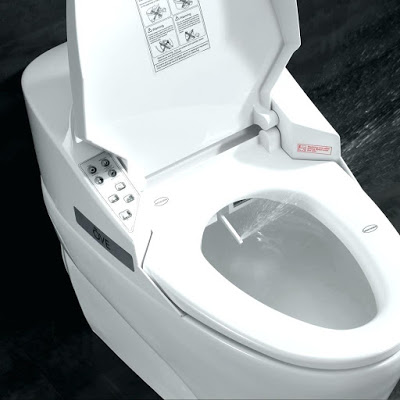 Tranh luận nên chùi hay rửa khi đi vệ sinh?