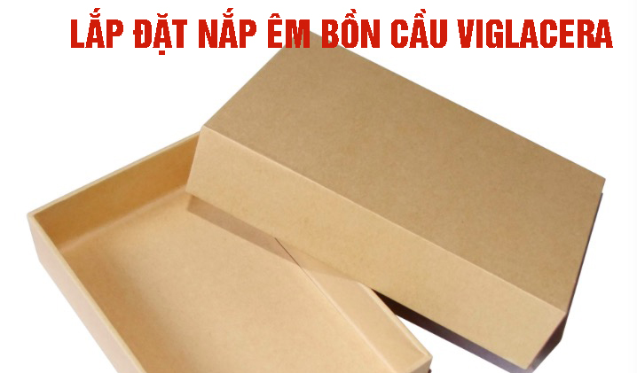 lắp đặt nắp êm bồn cầu Viglacera