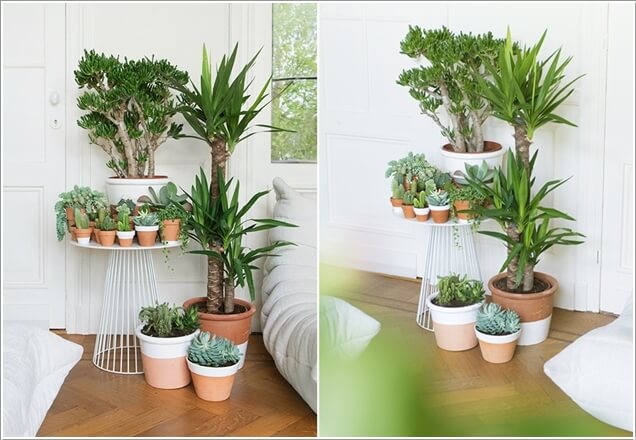 kệ để cây bonsai cây cảnh giá rẻ tphcm 2018