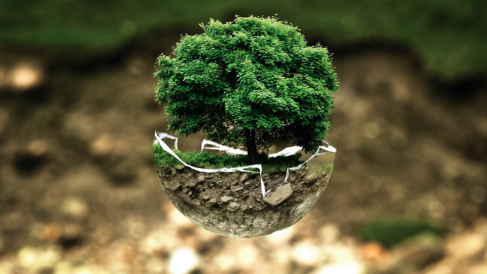 kệ để cây bonsai cây cảnh giá rẻ tphcm 2018