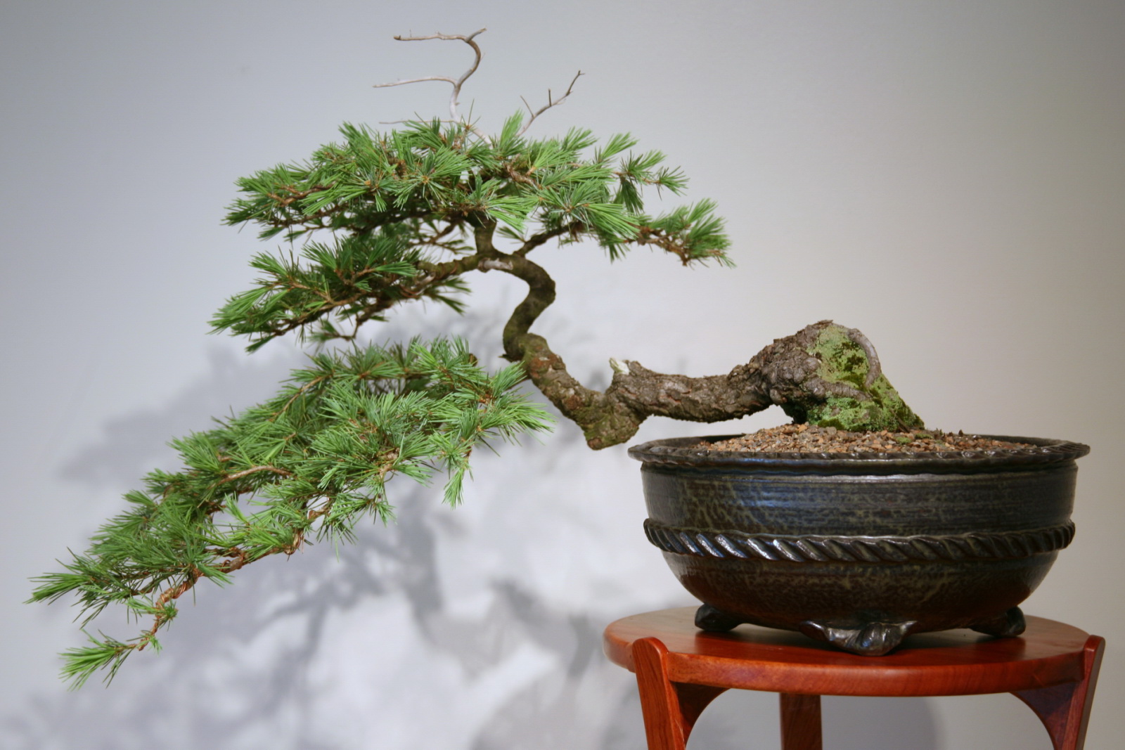 kệ để cây bonsai cây cảnh giá rẻ tphcm 2018