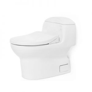 Bồn cầu nắp rửa cơ TOTO