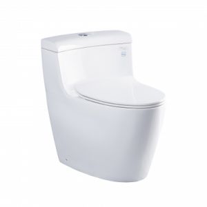 Bồn cầu TOTO 1 khối MS636DT8