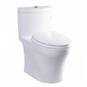 Bồn cầu 1 khối TOTO