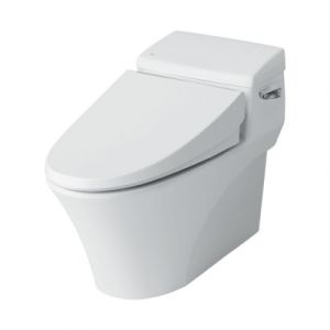 Bồn cầu 1 khối INAX AC-1017VRN (AC1017VRN) nắp đóng êm