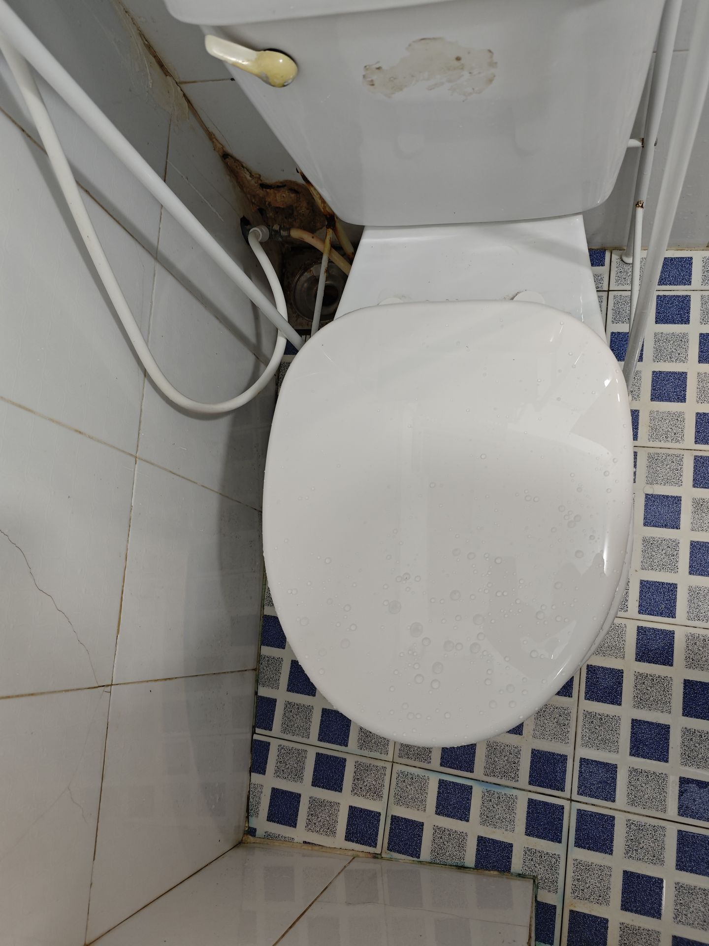 Đánh giá sản phẩm Nắp rửa cơ American Standard M4A839