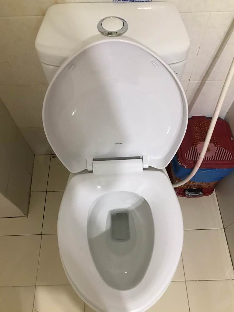 Đánh giá sản phẩm Bồn cầu 2 khối Caesar CT1325 nắp thường