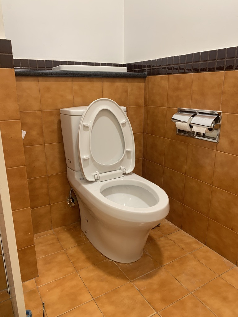 Đánh giá sản phẩm Bồn cầu 2 khối TOTO CS945PDT10 nắp đóng êm TC395VS thoát ngang