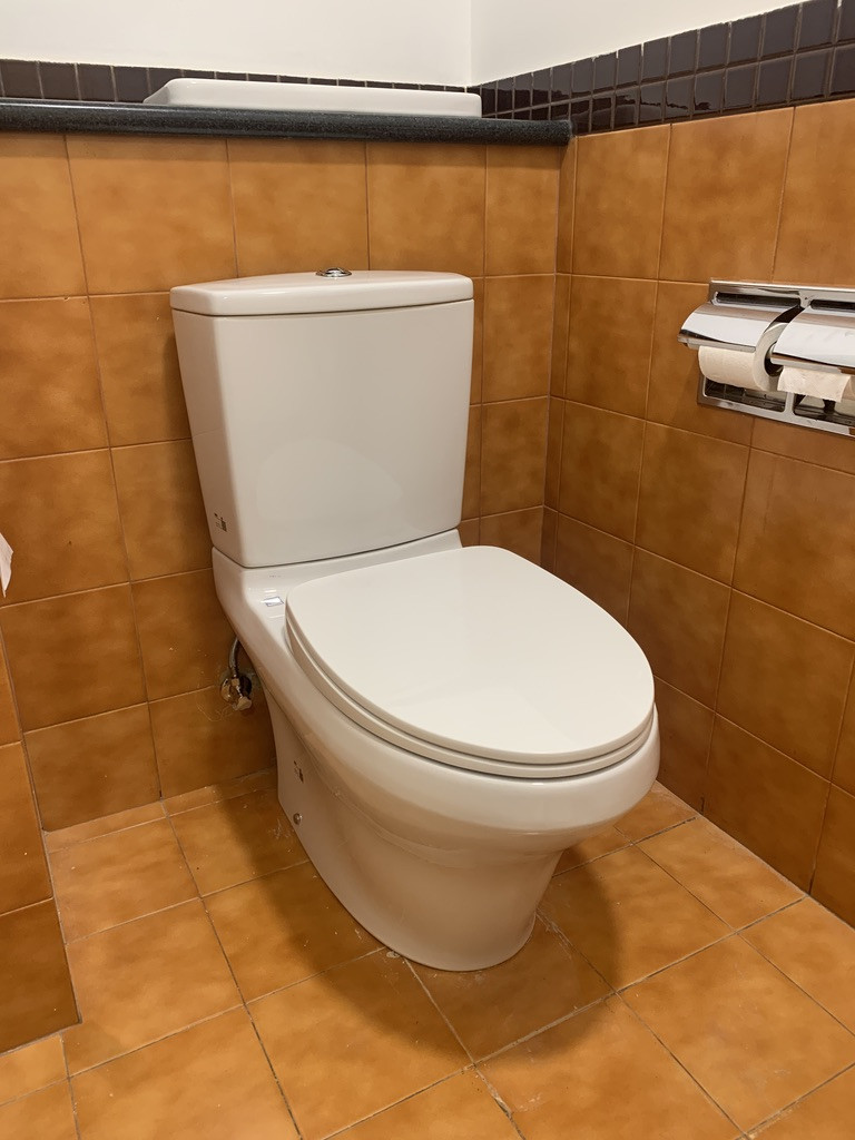 Đánh giá sản phẩm Bồn cầu 2 khối TOTO CS945PDT10 nắp đóng êm TC395VS thoát ngang