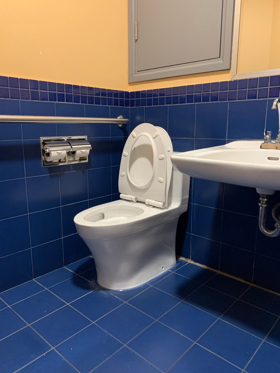 Đánh giá sản phẩm Bồn cầu 1 khối TOTO MS889DRT8 nắp đóng êm TC600VS