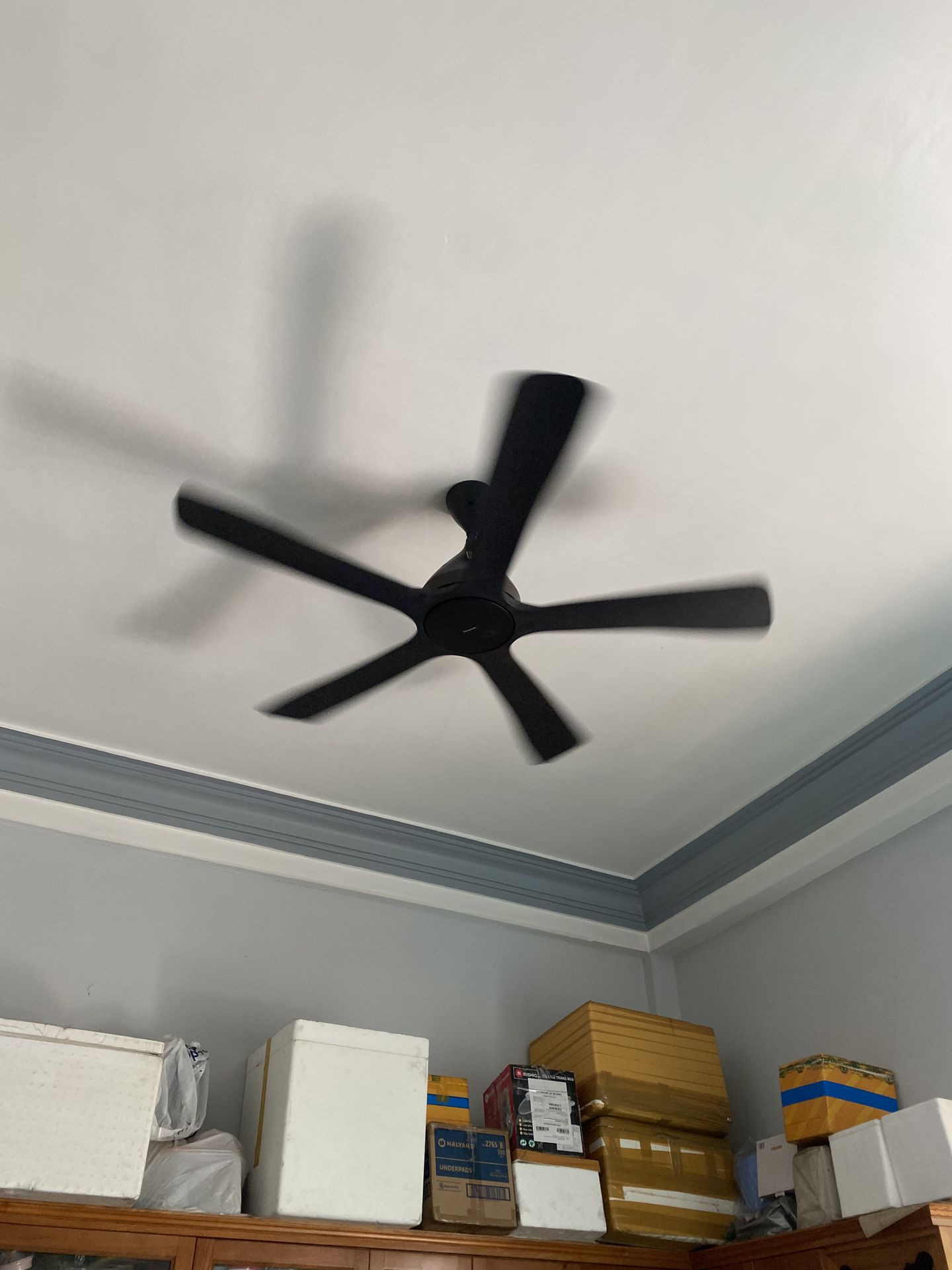 Đánh giá sản phẩm Quạt trần Panasonic 5 cánh điều khiển từ xa F-60DHN