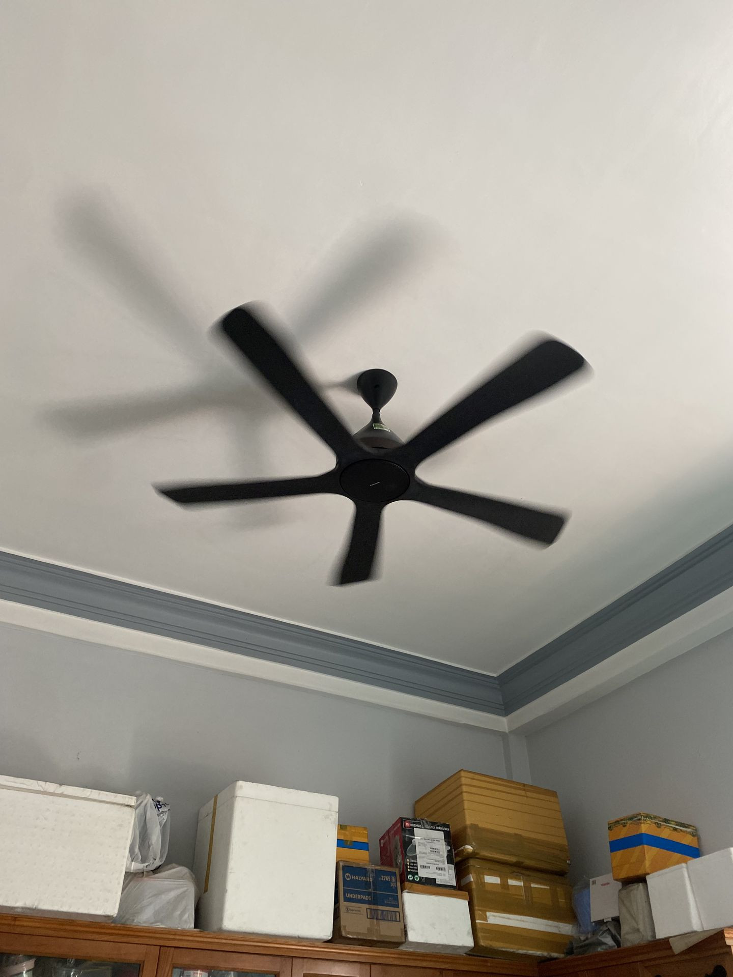 Đánh giá sản phẩm Quạt trần Panasonic 5 cánh điều khiển từ xa F-60DHN