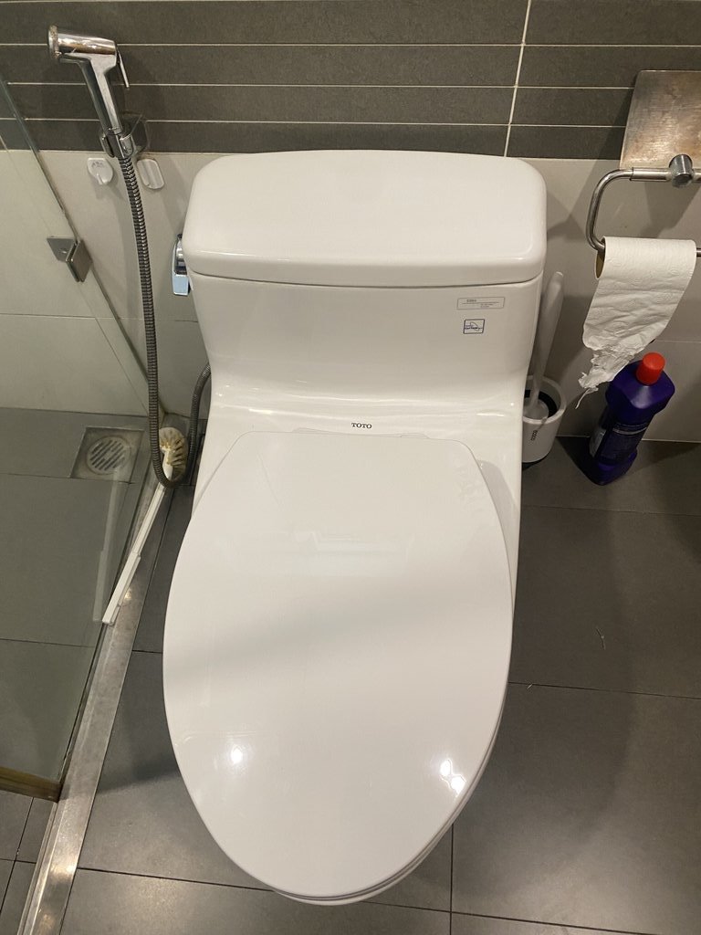 Đánh giá sản phẩm Nắp bồn cầu đóng êm TOTO TC393VS (T2)