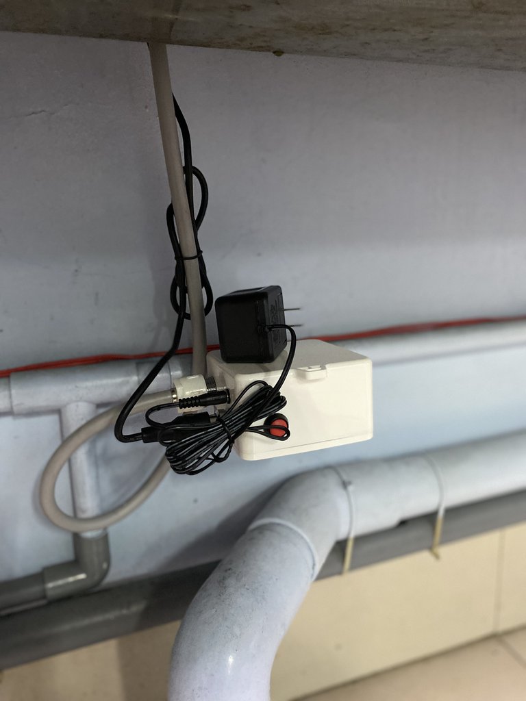 Đánh giá sản phẩm Vòi chậu lavabo COTTO CT4902AC cảm ứng lạnh (dùng điện)