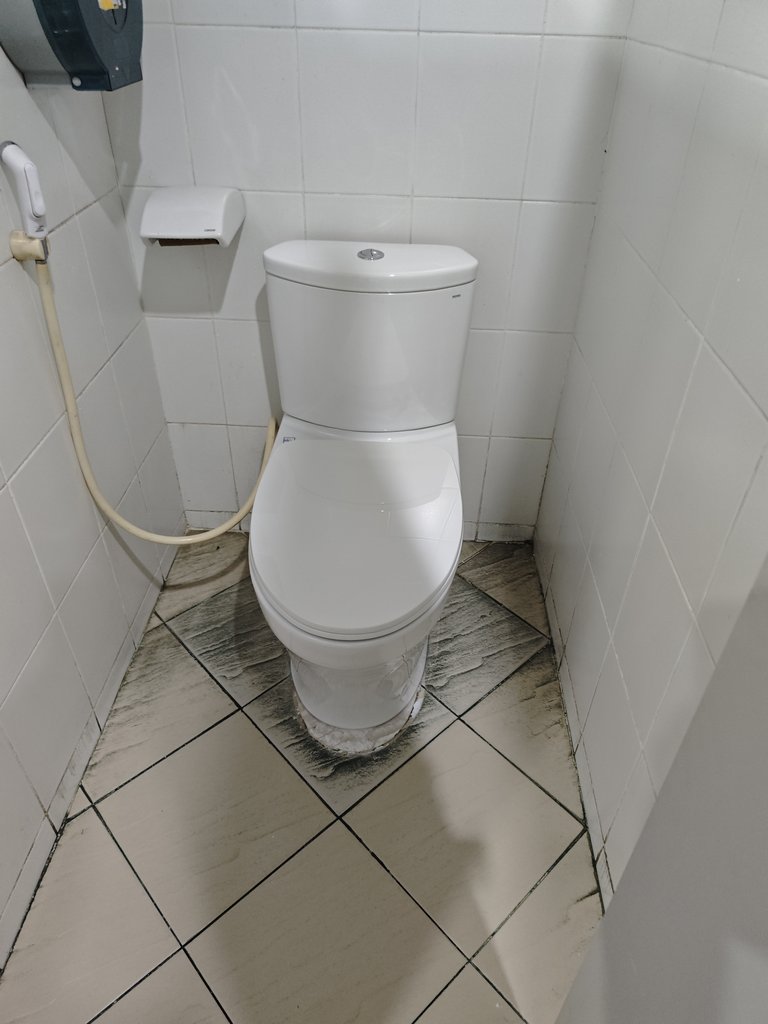 Đánh giá sản phẩm Bồn cầu 2 khối TOTO CS838DT10 nắp đóng êm TC395VS