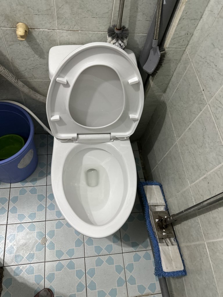 Đánh giá sản phẩm Bồn cầu 1 khối Viglacera BL5 nắp êm xả thẳng (+ vòi xịt VG826)