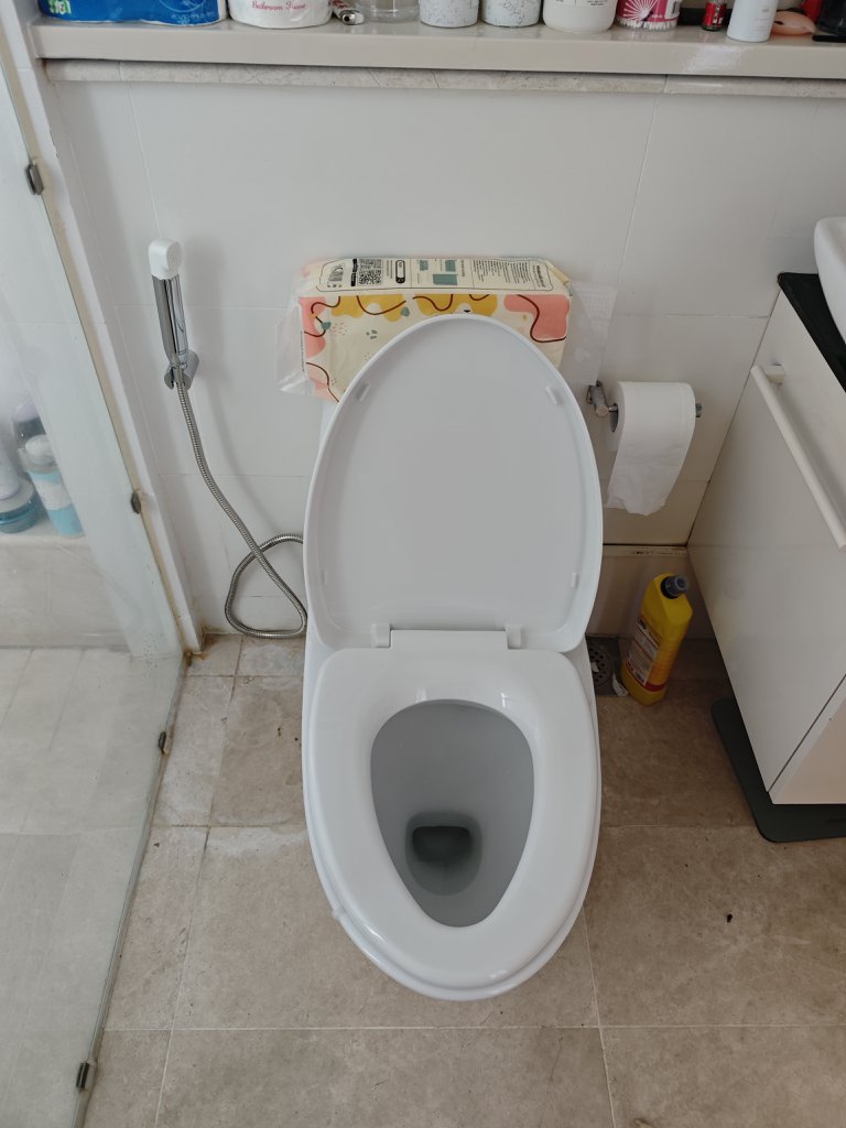 Đánh giá sản phẩm Vòi xịt vệ sinh American Standard DUOSTiX WF-TS28 (WFTS28)