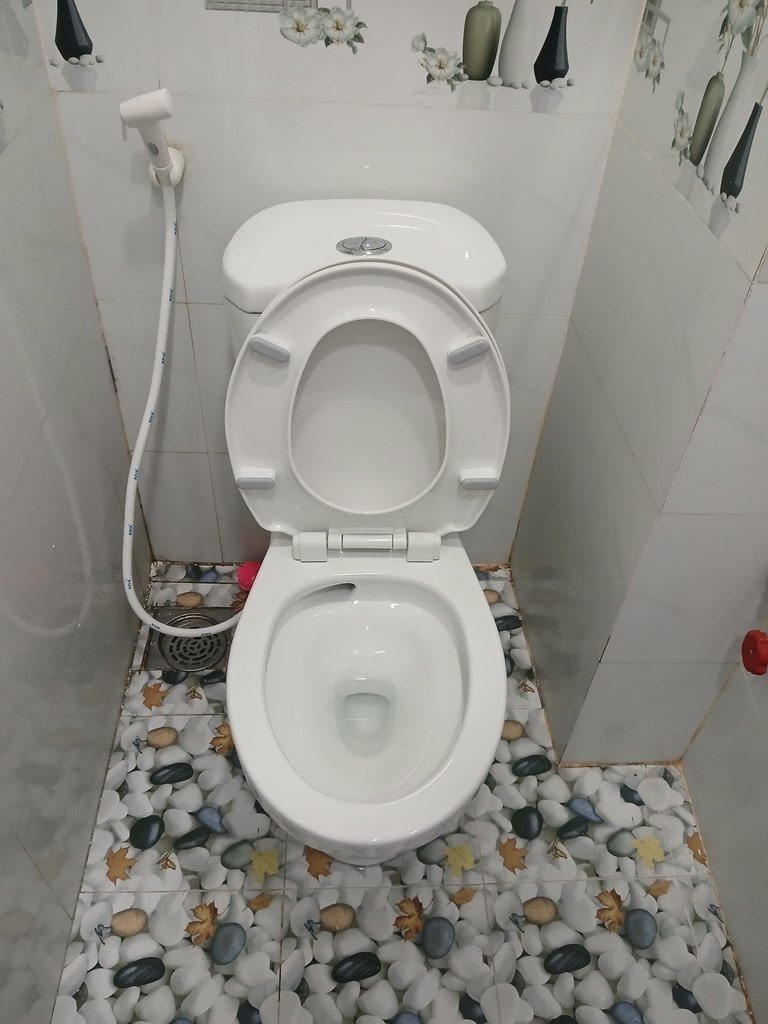 Đánh giá sản phẩm Bồn cầu 2 khối Viglacera VI88 nắp thường / nắp êm