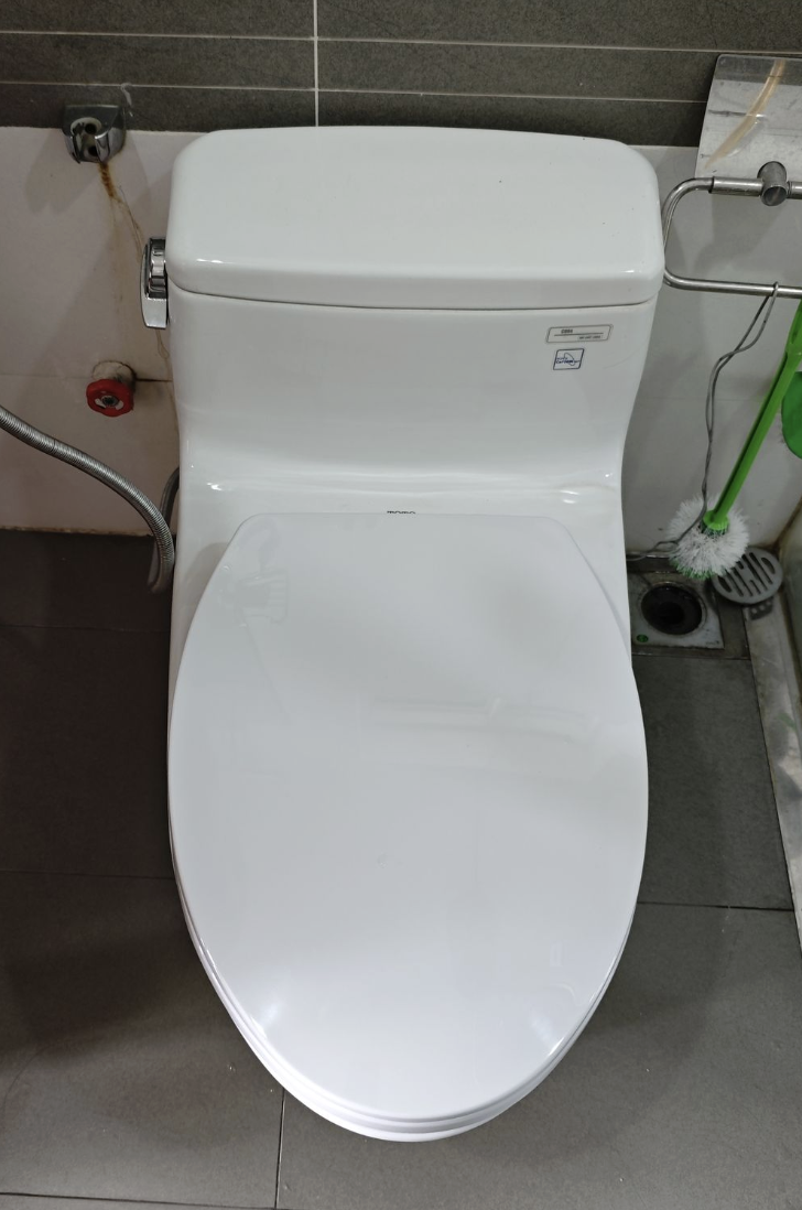 Đánh giá sản phẩm Nắp bồn cầu đóng êm TOTO TC393VS (T2)