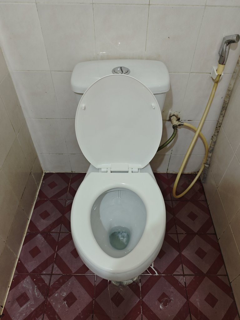 Đánh giá sản phẩm Bồn cầu LANDSIGN 2 khối xả nhấn LS2KN