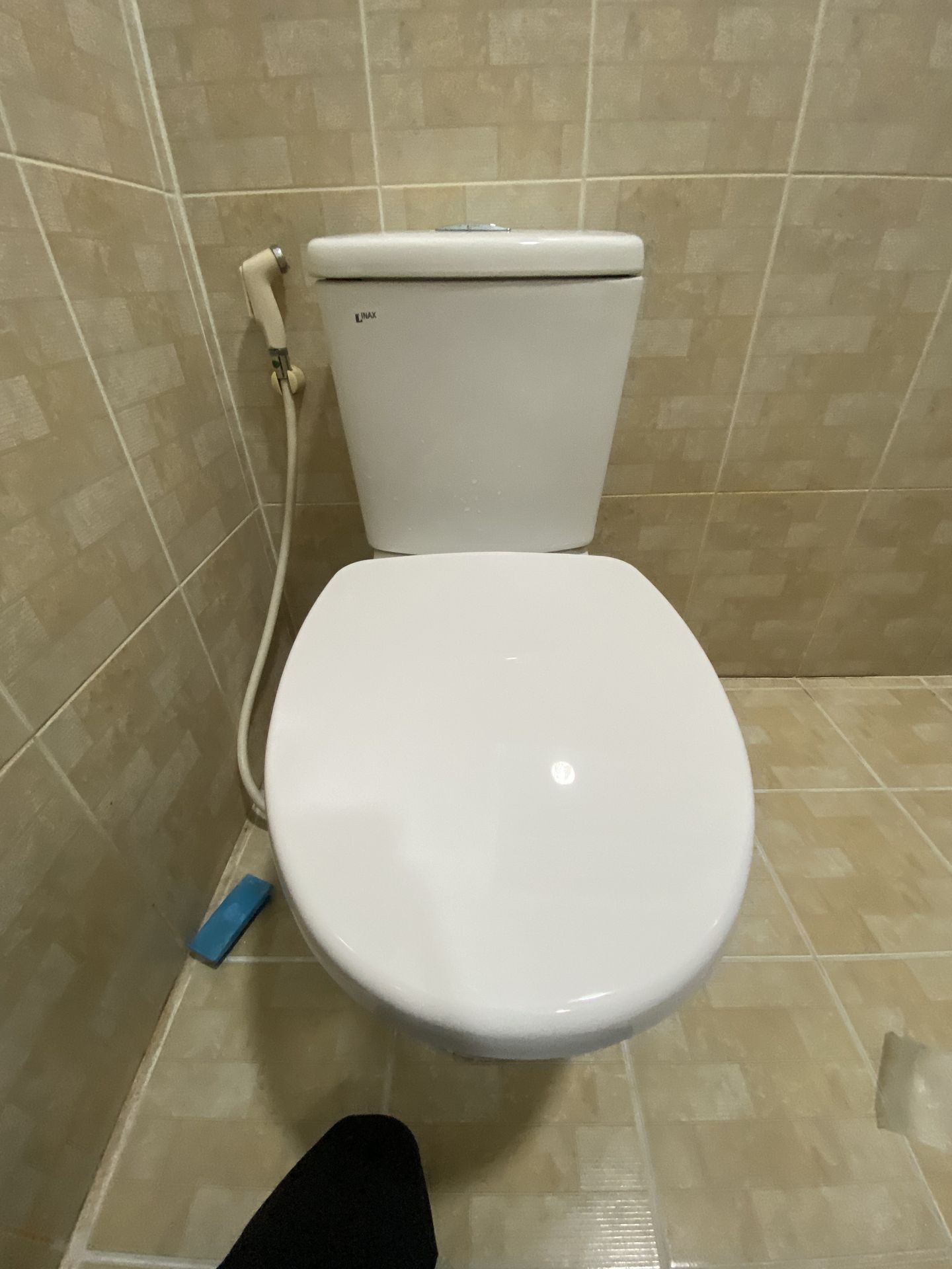 Đánh giá sản phẩm Nắp bồn cầu đóng êm INAX CF-57VSAK (CF57VSAK)