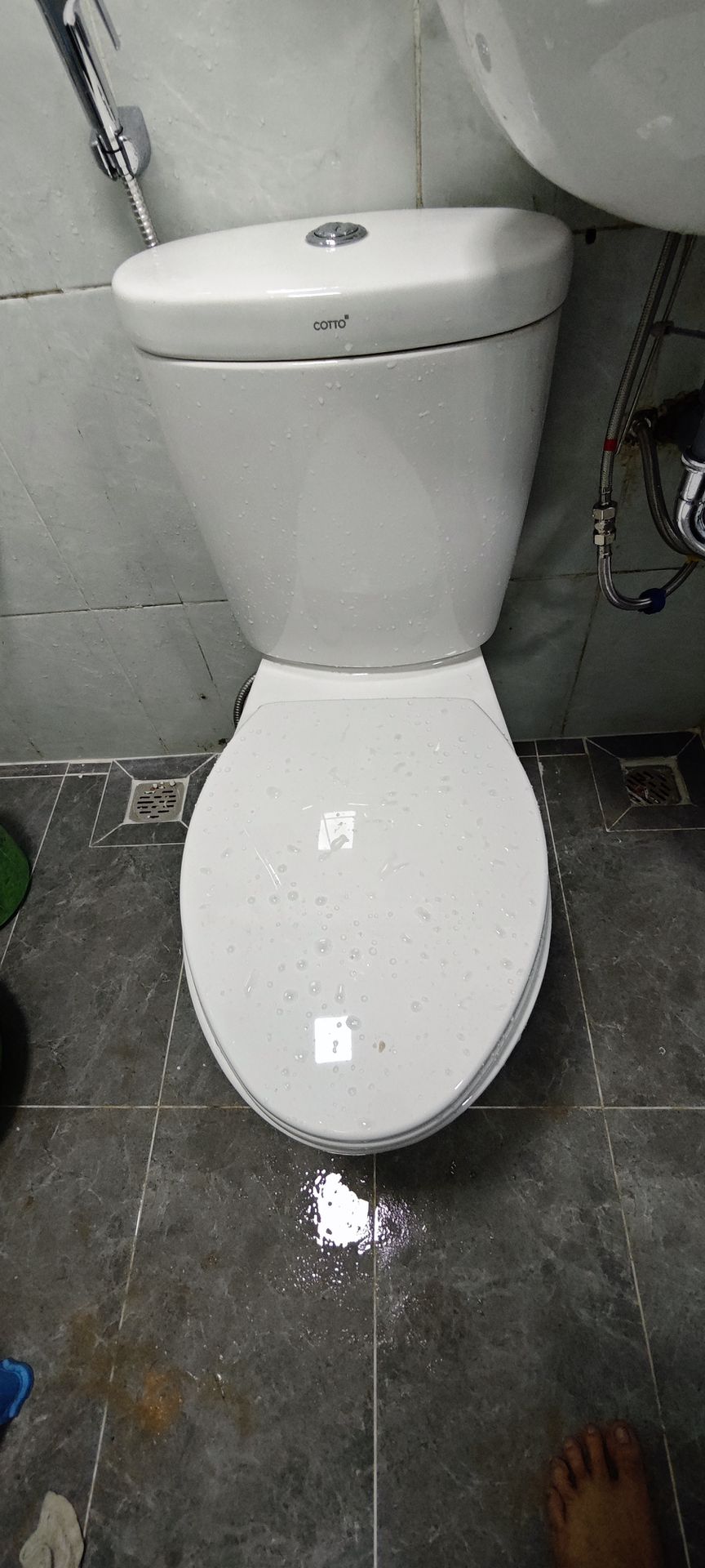 Đánh giá sản phẩm Bồn cầu 2 khối COTTO C1389 nắp êm dòng Timon