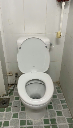 Đánh giá sản phẩm Bồn cầu 2 khối INAX C-117VA (C117VA) xả gạt nắp thường