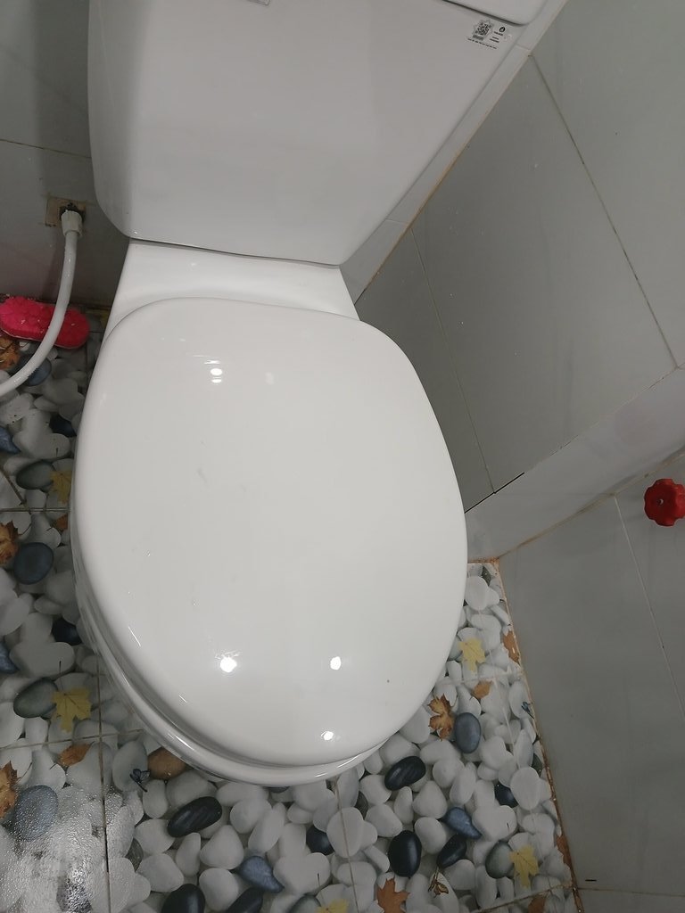 Đánh giá sản phẩm Bồn cầu 2 khối Viglacera VI88 nắp thường / nắp êm
