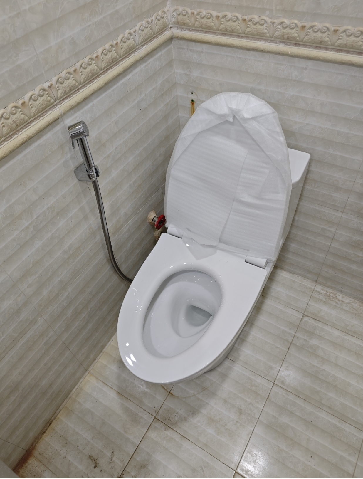 Đánh giá sản phẩm Bồn cầu 1 khối TOTO MS857DT8 nắp đóng êm TC600VS