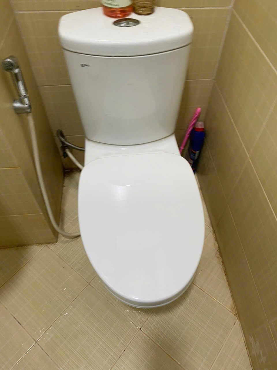 Đánh giá sản phẩm Nắp bồn cầu đóng êm INAX CF-500VS (CF500VS)