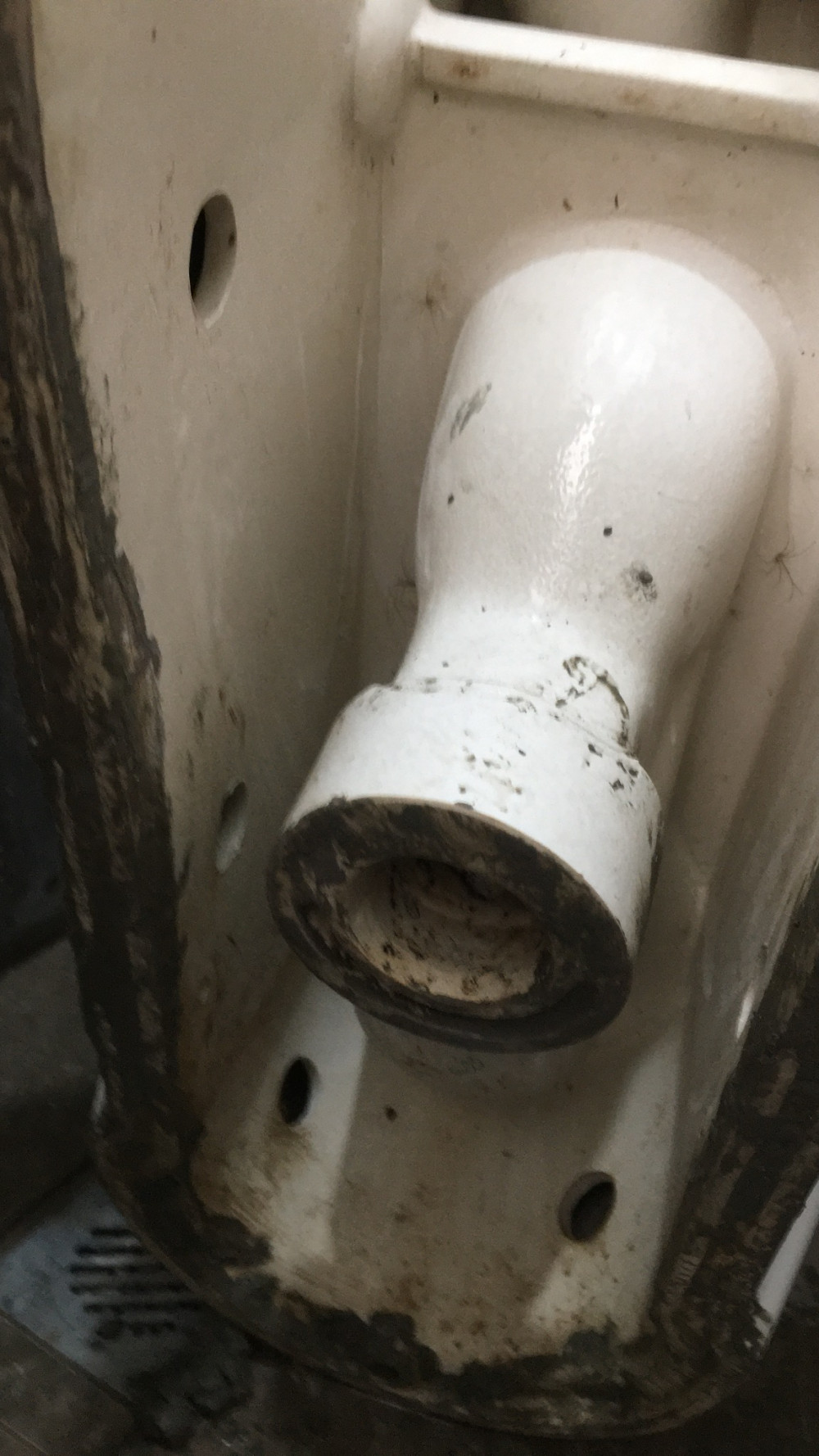 Hình ảnh bình luận