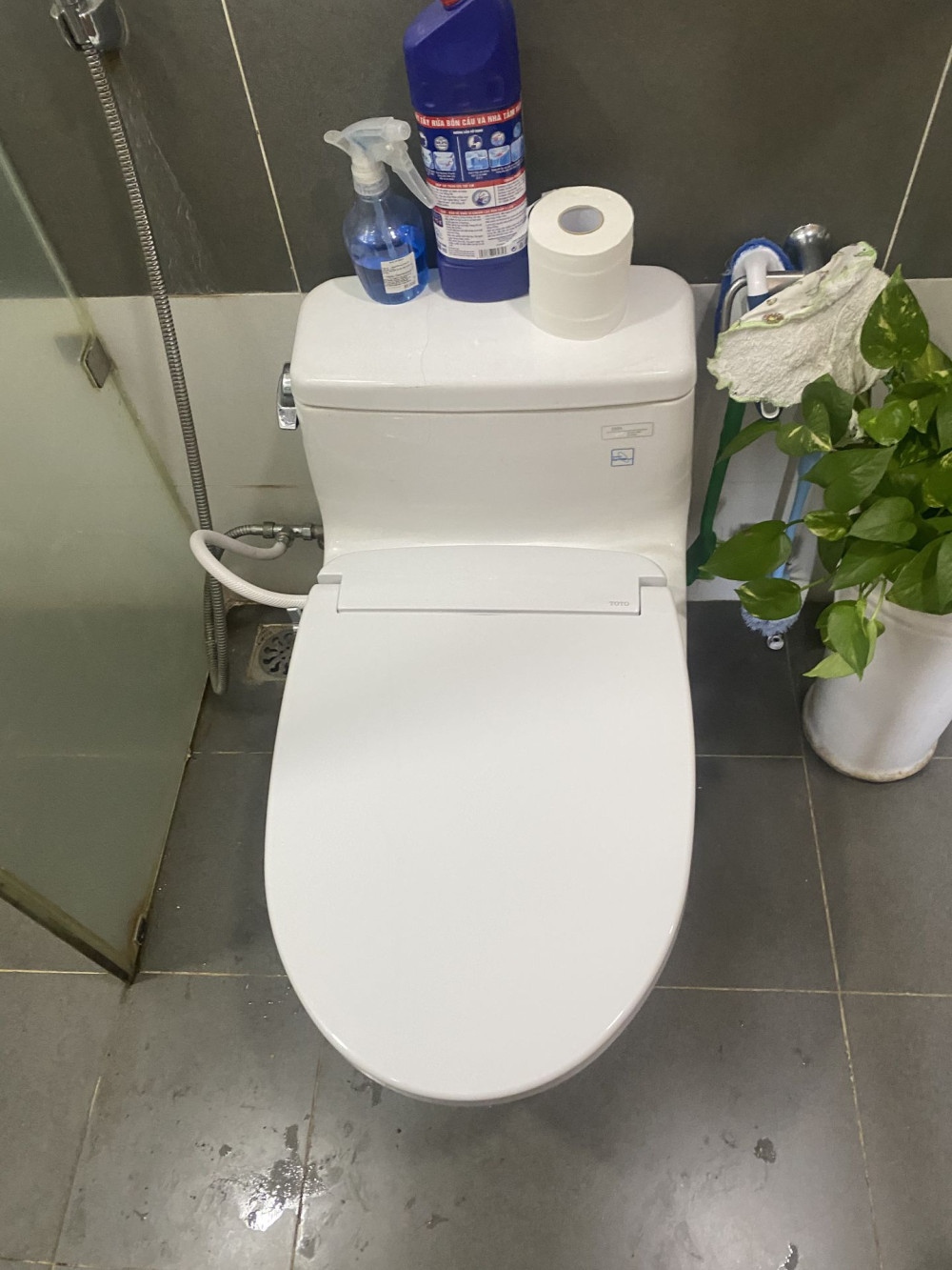 Đánh giá sản phẩm Nắp bồn cầu rửa cơ Eco washer TOTO TCW07S (E2)