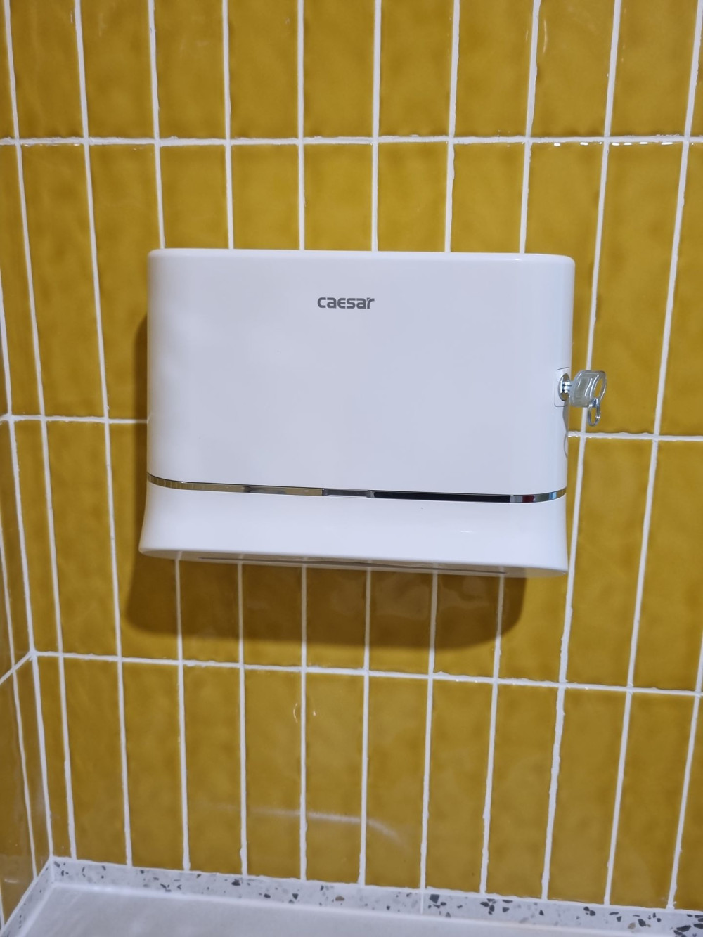 Đánh giá sản phẩm Hộp giấy vệ sinh Caesar H101