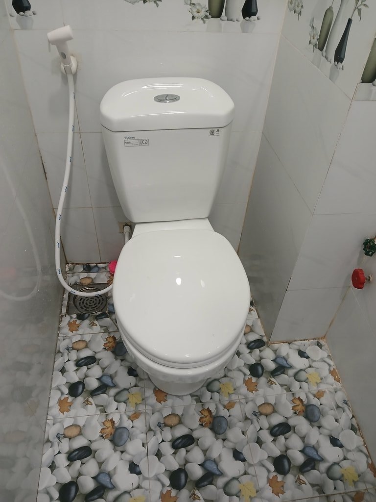 Đánh giá sản phẩm Bồn cầu 2 khối Viglacera VI88 nắp thường / nắp êm