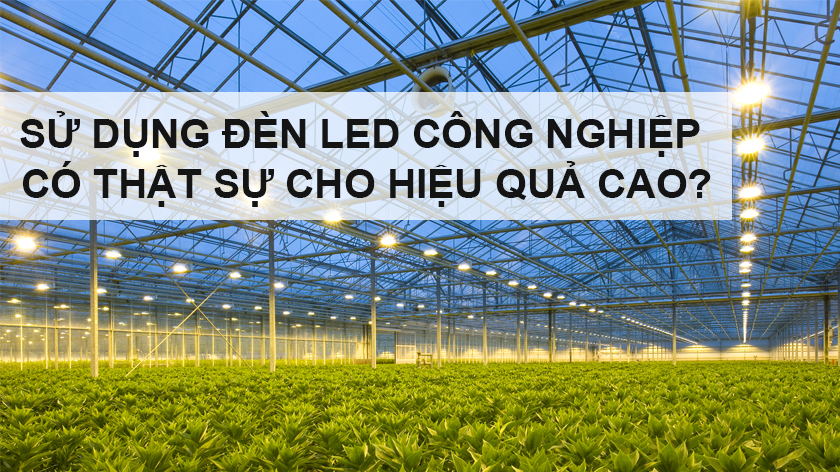 Sử dụng đèn led nông nghiệp có thật sự cho hiệu quả cao?