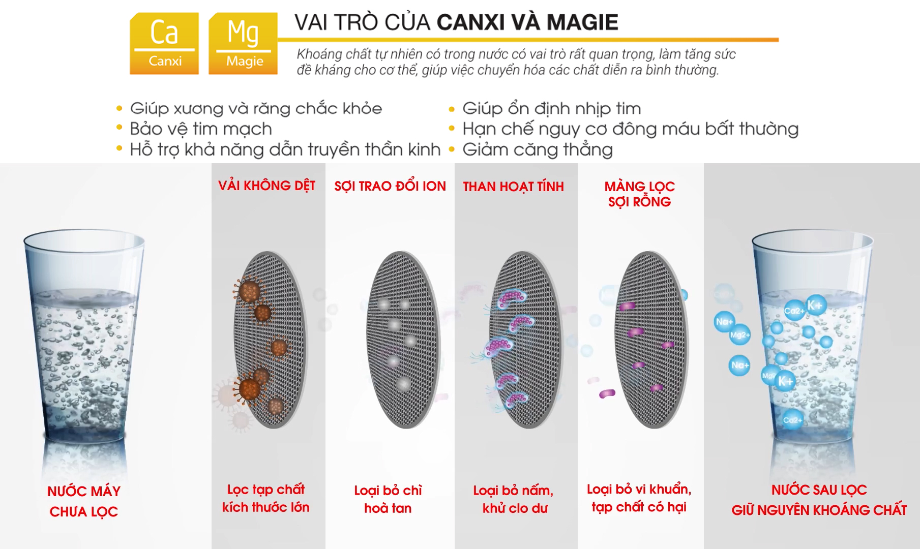 Bổ sung khoáng chất