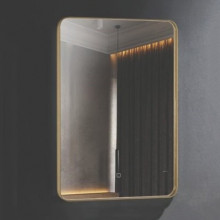 Gương khung inox Đình Quốc 99902