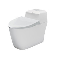 Bồn cầu 1 khối nắp rửa cơ INAX AC-1032 + CW-S15VN