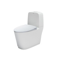 Bồn cầu 2 khối nắp rửa cơ INAX AC-832 + CW-S15VN