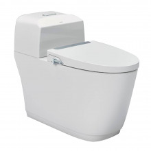 Bồn cầu 1 khối nắp rửa cơ INAX AC-1032 + CW-S32VN