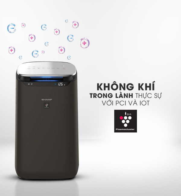 Máy lọc không khí Sharp FP-J80EV-H 62m2 6 tính năng