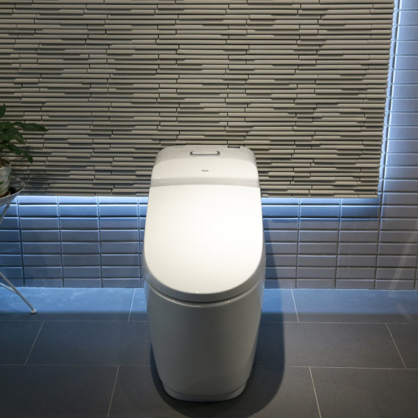 Bồn cầu 1 khối INAX AC-1032VN (AC1032VN) nắp đóng êm