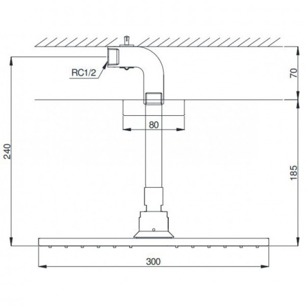 Bát sen tắm gắn trần TOTO DBX114-1CAM (DBX1141CAM) (vuông, 300mm)