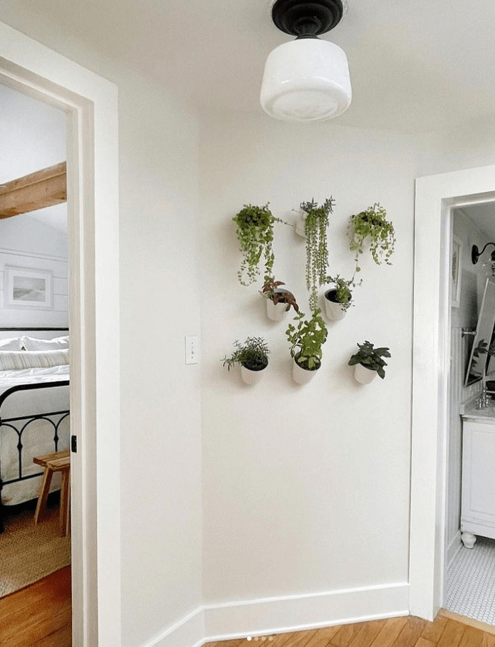 Treo cây ở phần tường trống giữa hai căn phòng