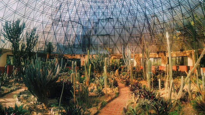 Vườn quốc gia Ba Vì