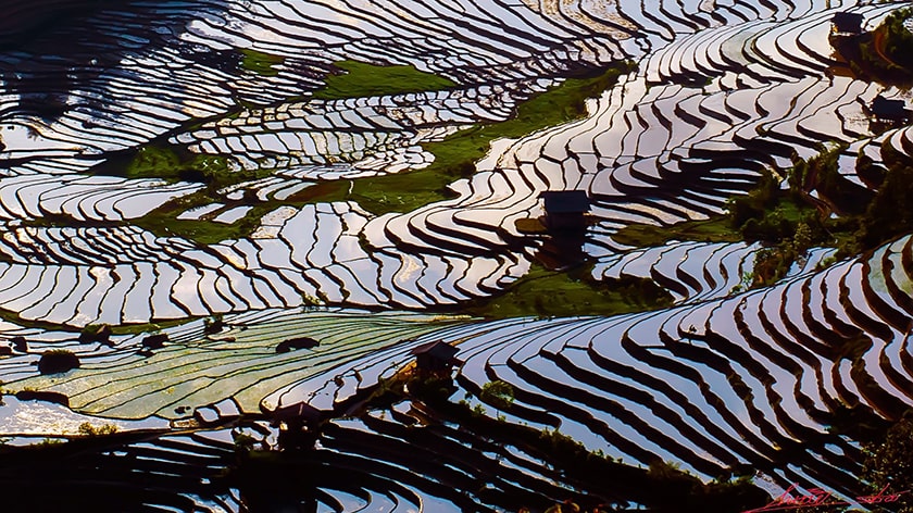 Mùa hè, tháng 4 đến tháng 5